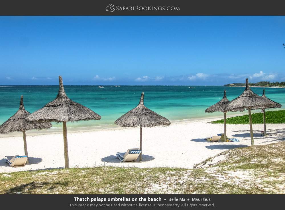Thatch palapa umbrellas on Belle Mare Beach in Belle Mare, Mauritius