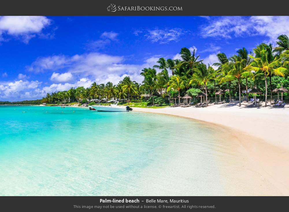Belle Mare Beach in Belle Mare, Mauritius