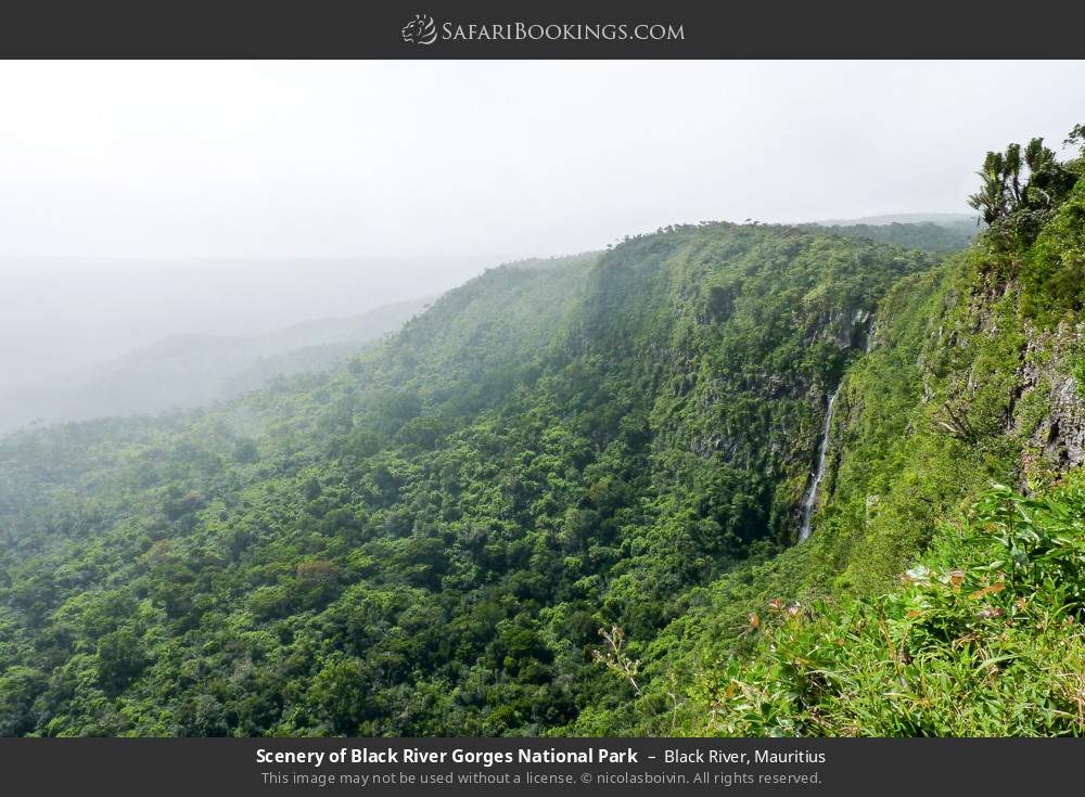 Scenery of Black River Gorges NP in Black River, Mauritius