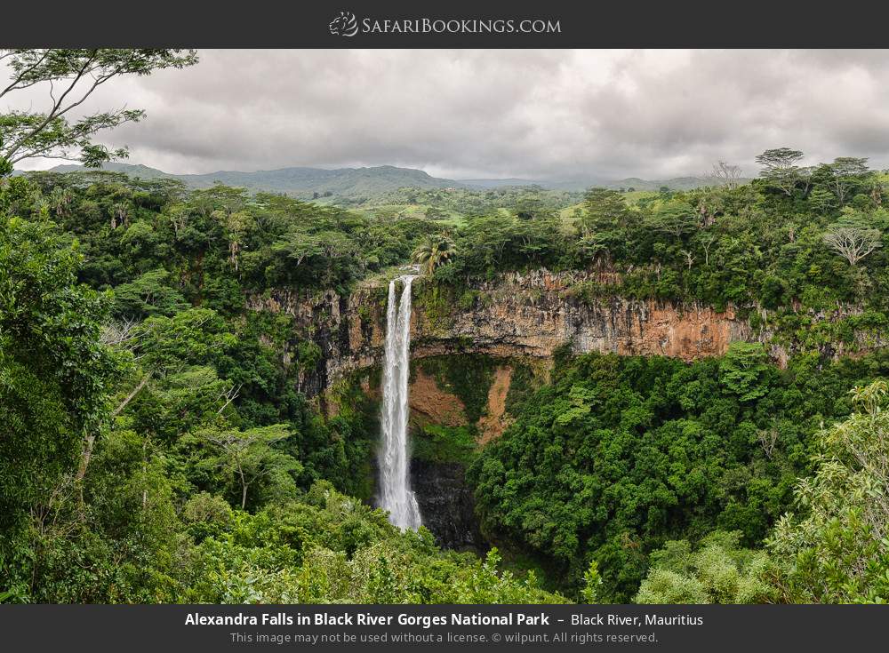 Alexandra Falls in Black River Gorges NP in Black River, Mauritius