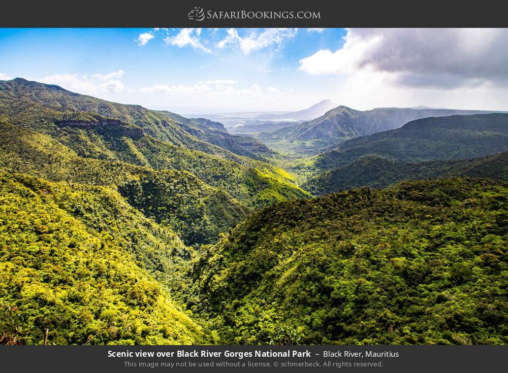 Scenic view over Black River Gorges NP in Black River, Mauritius