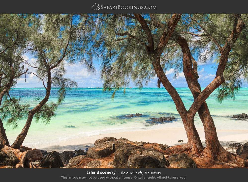 Île aux Cerfs scenery in Île aux Cerfs, Mauritius