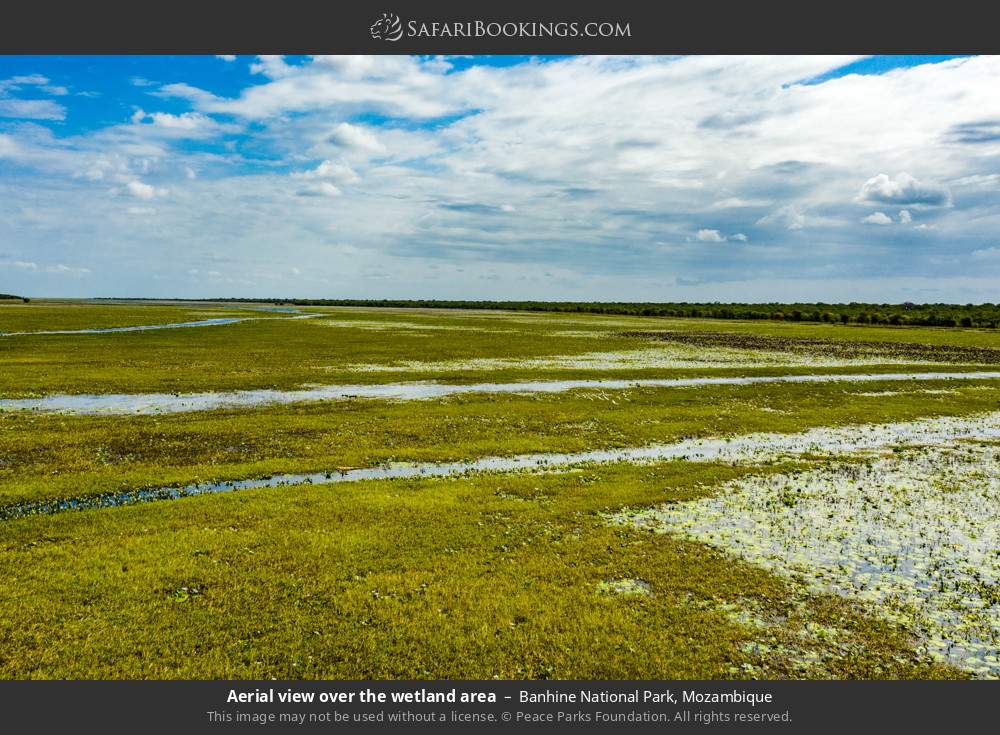 Aerial view over the wetland area in Banhine National Park, Mozambique