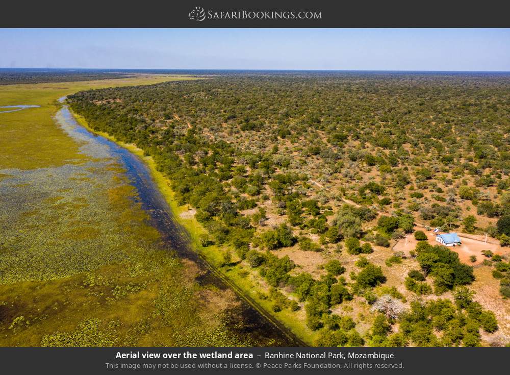 Aerial view over the wetland area in Banhine National Park, Mozambique