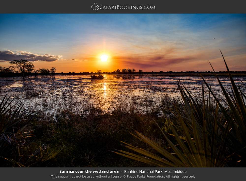 Sunrise over the wetland area in Banhine National Park, Mozambique