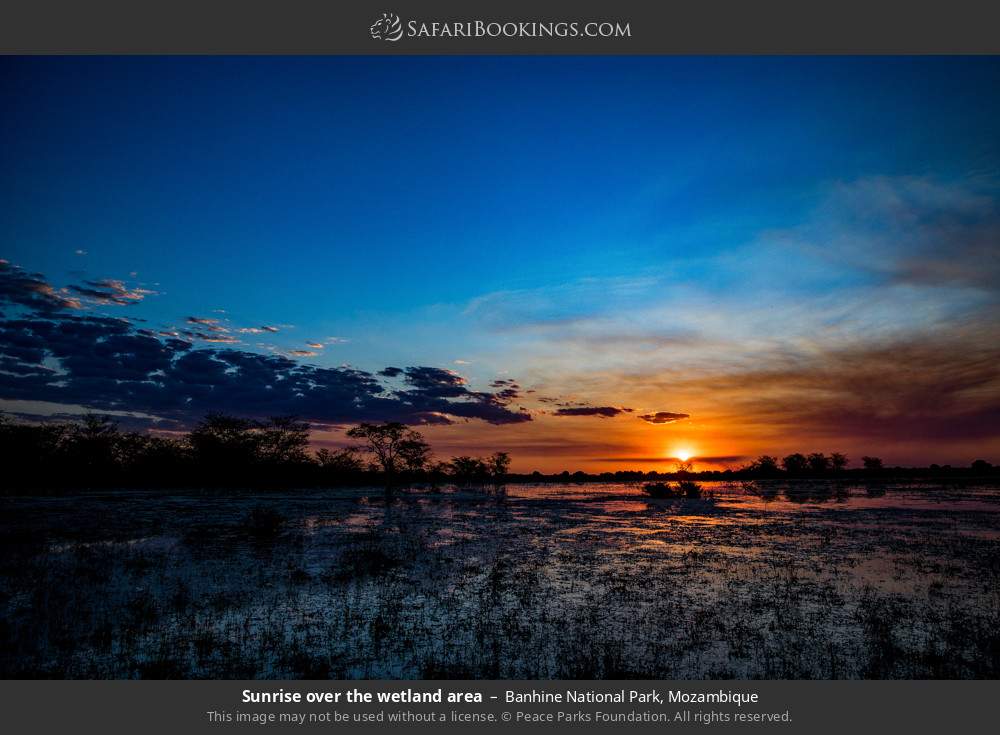 Sunrise over the wetland area in Banhine National Park, Mozambique