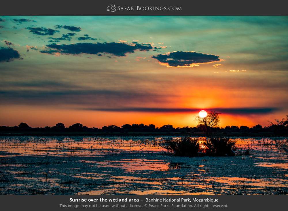 Sunrise over the wetland area in Banhine National Park, Mozambique