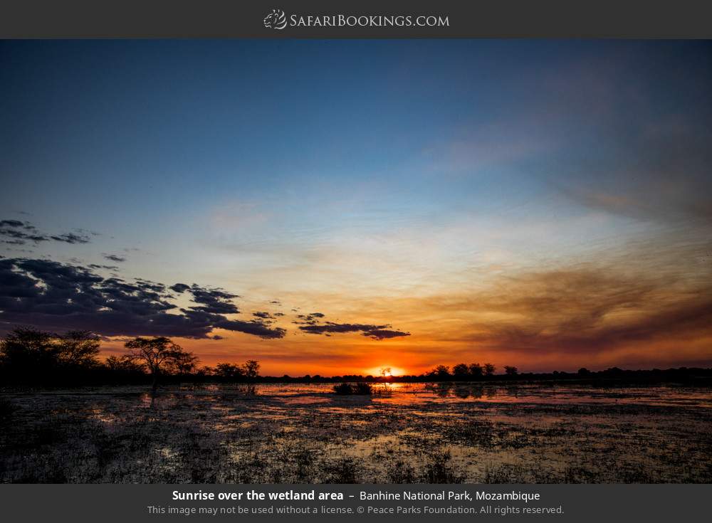 Sunrise over the wetland area in Banhine National Park, Mozambique