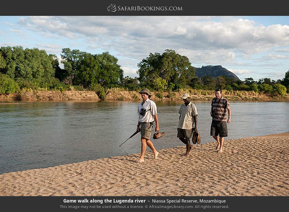 Walking safari along the Lugenda River in Niassa Special Reserve, Mozambique