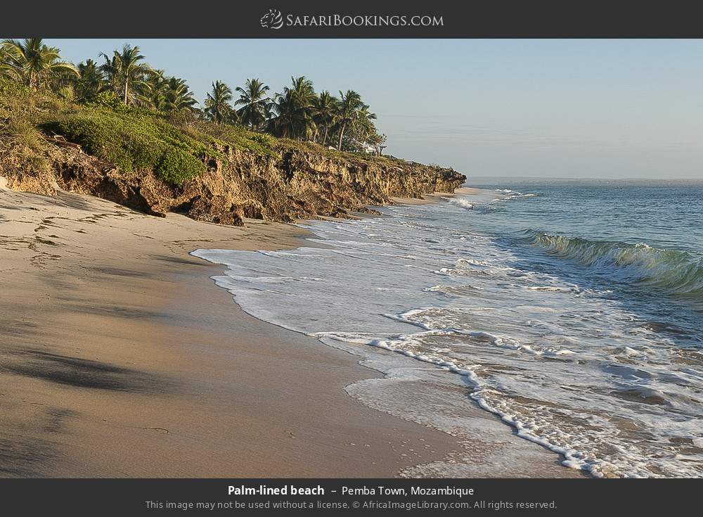 Palm-lined beach on Pemba Bay in Pemba Town, Mozambique