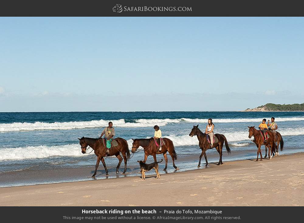 Horseback riding on Praia do Tofo in Praia do Tofo, Mozambique