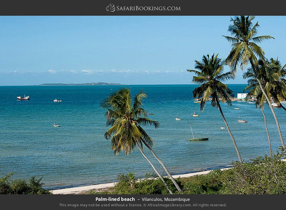 Palm-lined beach at Vilanculos in Vilanculos, Mozambique