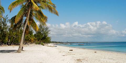 Mozambique Tour