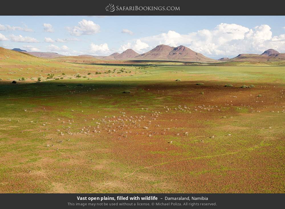 Vast open plains, filled with wildlife, Damaraland in Damaraland, Namibia