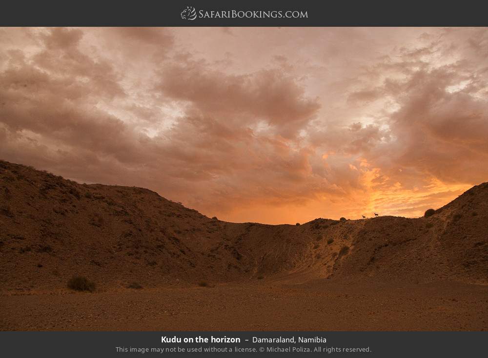 Kudu on the horizon, Damaraland in Damaraland, Namibia