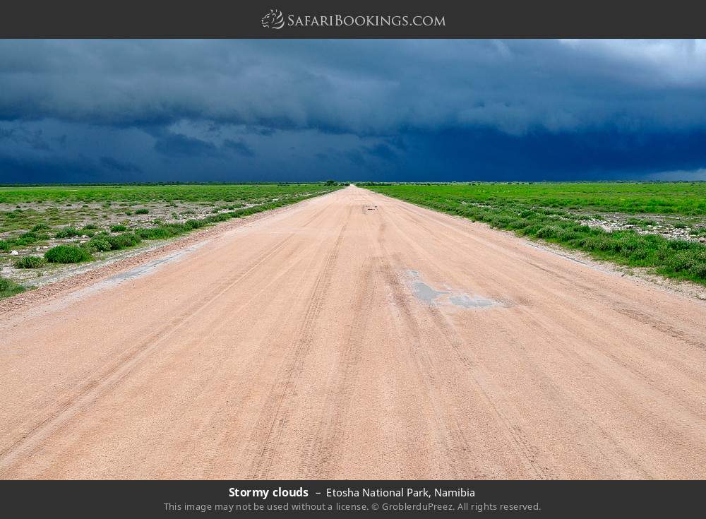 Stormy clouds in Etosha National Park, Namibia