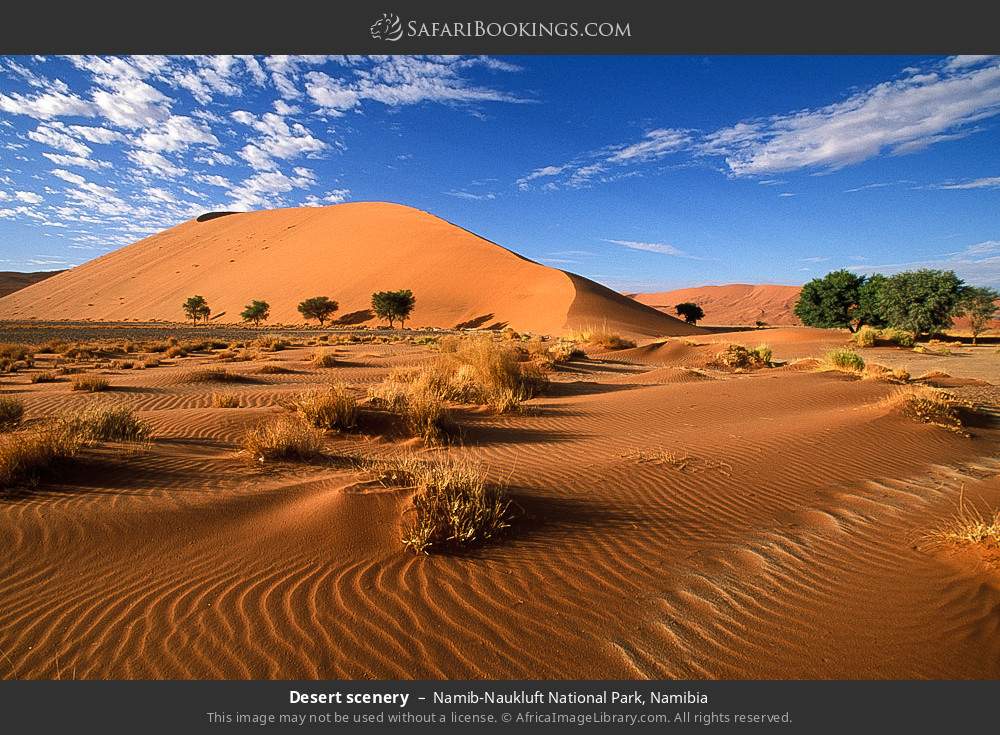 Desert scenery in Namib-Naukluft National Park, Namibia