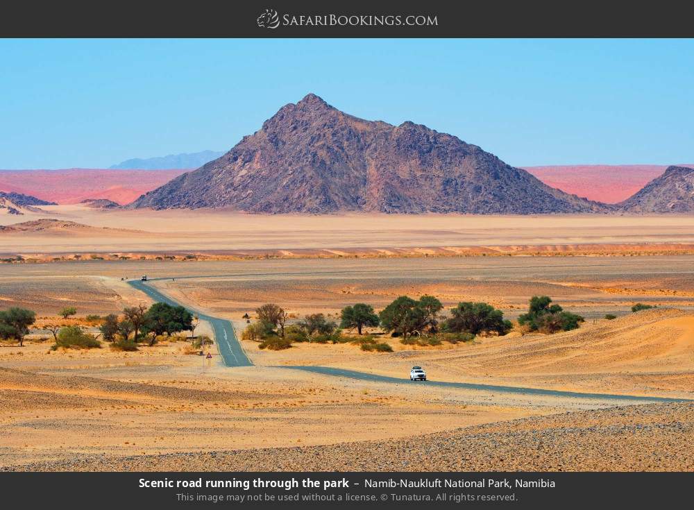 Scenic road running through the park in Namib-Naukluft National Park, Namibia
