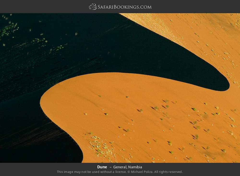 Dune in General, Namibia