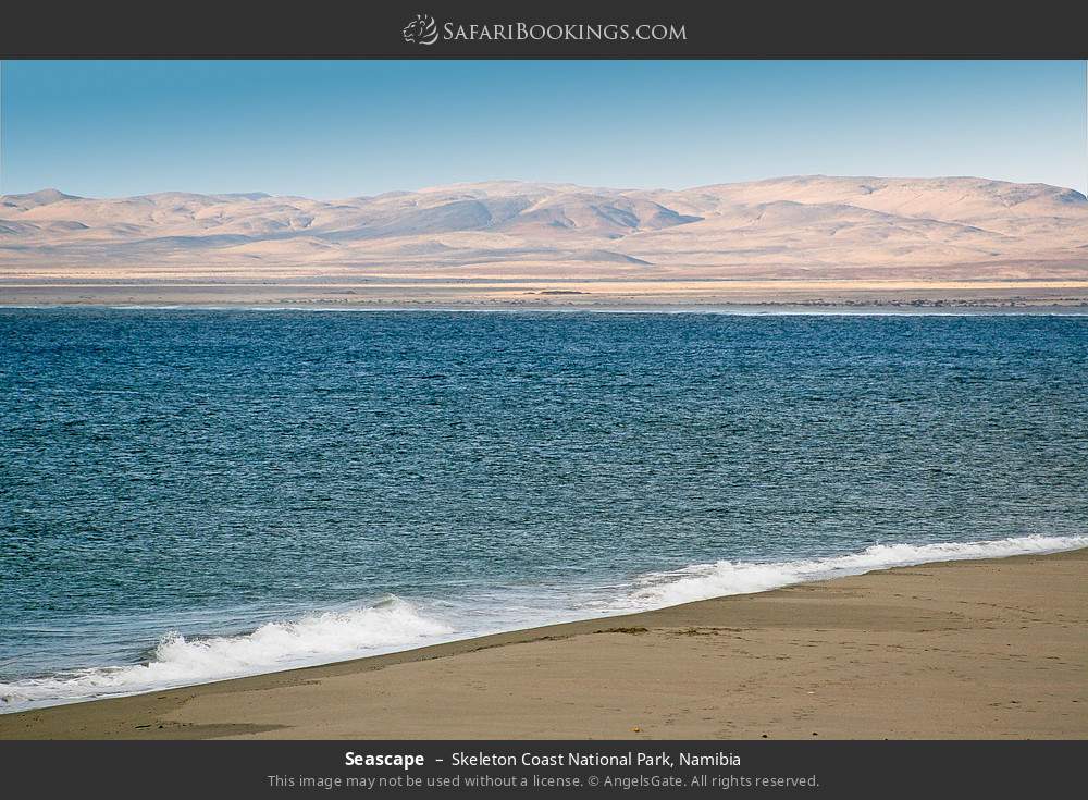 Seascape in Skeleton Coast National Park, Namibia