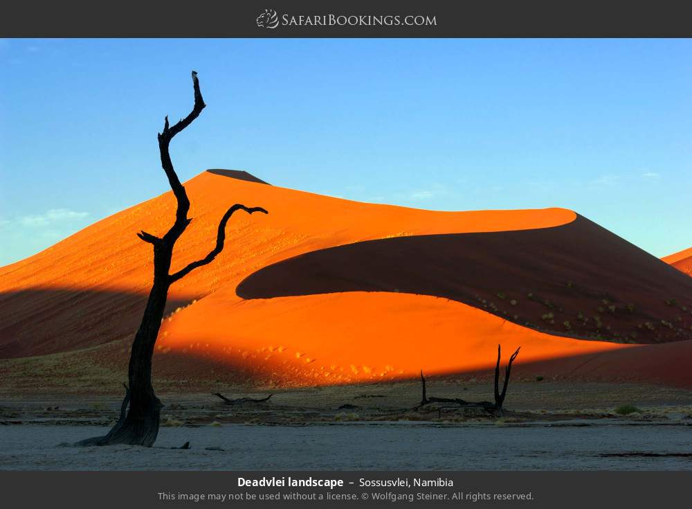 Deadvlei landscape, Namib-Naukluft NP in Sossusvlei, Namibia