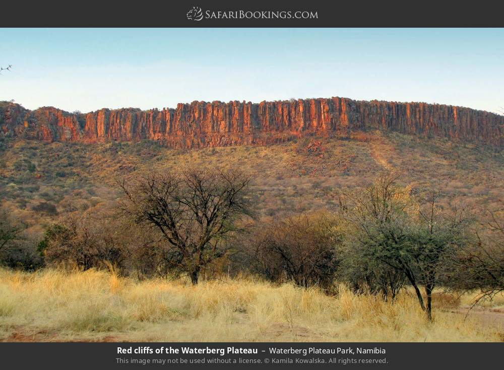 Red cliffs of the Waterberg Plateau in Waterberg Plateau Park, Namibia