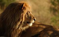Okonjima Private Nature Reserve