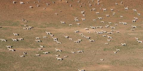 Southern Escape Namibian Safari