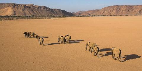 12-Day Namibia - Dunes, Coast & Safari Adventure