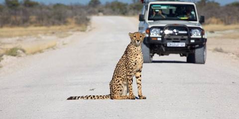12-Day Well Balanced Namibian Highlights (Self-Drive)