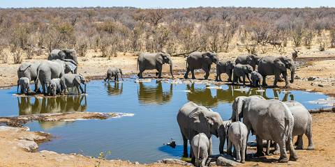 The Essence of Namibia Scheduled Tour