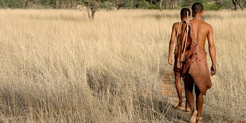 12-Day Khaudum National Park, Zambezi & Victoria Falls