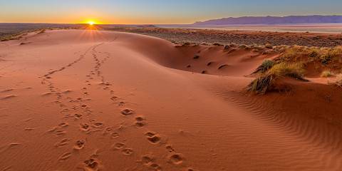 14-Day Namibia North to South Accommodated Safari