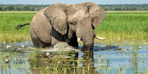 21-Day Comprehensive Namibia Safari Tour