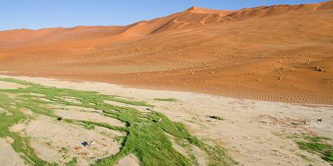 3-Day Sossusvlei Namibian Safari Tour (Camping)