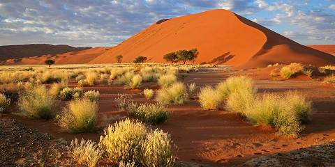 11-Day Extended Classic Namibia Safari