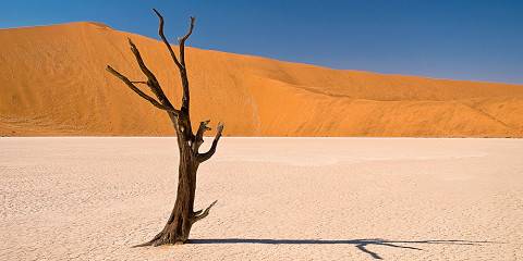 Sossusvlei Classic Unguided Shuttle Tour