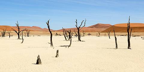 Namib Naukluft and Sossusvlei Adventure