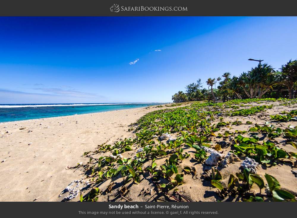 Sandy beach at Saint-Pierre in Saint-Pierre, Réunion