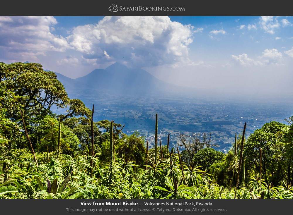 View from Mt Bisoke in Volcanoes National Park, Rwanda