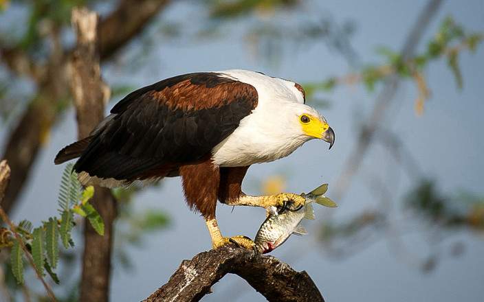 Open Photos
