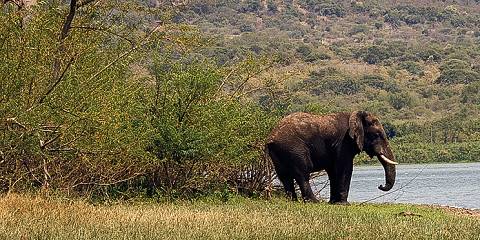 1-Day Akagera Wildlife Safari Trip from Kigali City