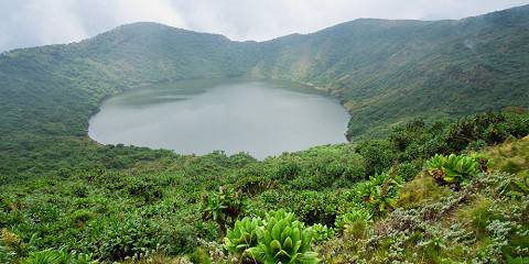 Hike to Bisoke's Summit