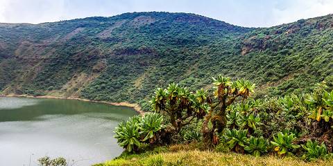 1-Day Hiking Mount Bisoke to Crater Lake