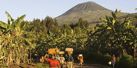 7-Day Scenic Adventures Safari