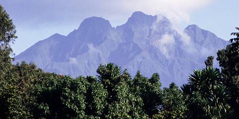 4-Day Mountain Gorilla Trekking & Virunga Mountain Hike