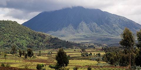 Rwanda Big 5 + Chimps + Gorilla Ultimate Odyssey