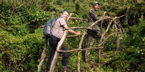 4-Day Ultimate Rwanda Gorilla & Coffee Adventure