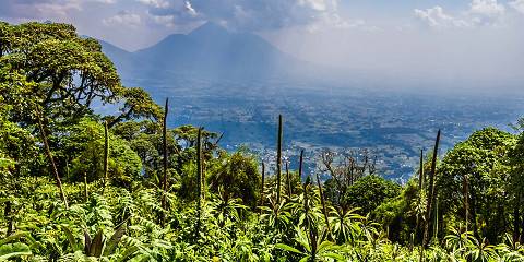 1-Day Mountain Bisoke Hike-Rwanda's Volcanic Majesty