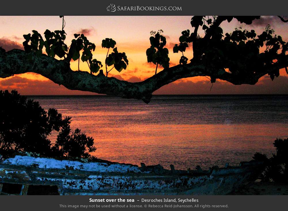 Sunset over the sea on Desroches Island in Desroches Island, Seychelles